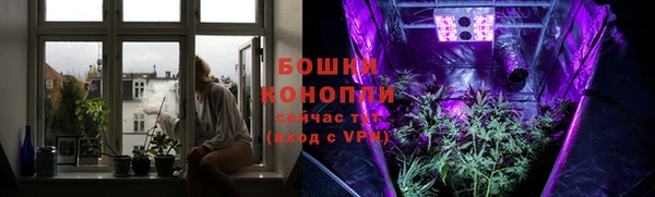 PSILOCYBIN Сафоново