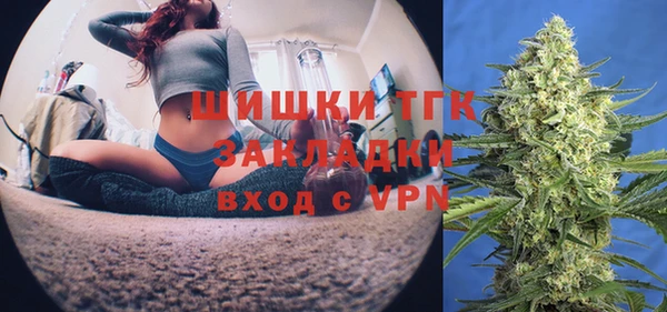 гидра Саяногорск