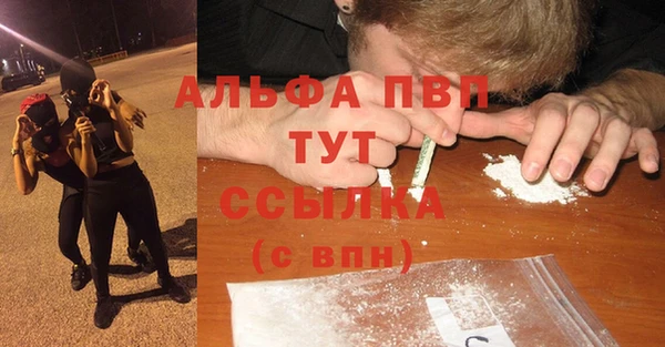 гидра Саяногорск
