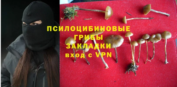 гидра Саяногорск