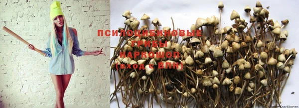 каннабис Сатка