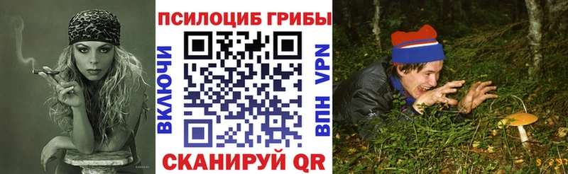 Галлюциногенные грибы GOLDEN TEACHER блэк спрут маркетплейс Будённовск