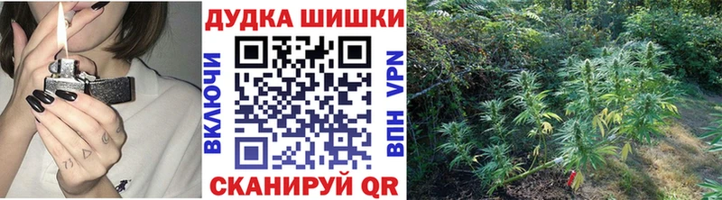 Шишки марихуана план  кракен ONION  Будённовск 